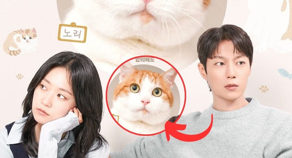 Cuộc Chiến Dành Quyền Nuôi Mèo